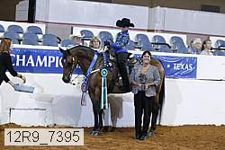 12r9_7395 thumbnail