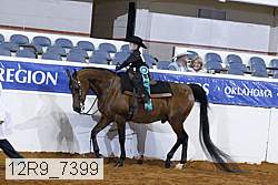 12r9_7399 thumbnail