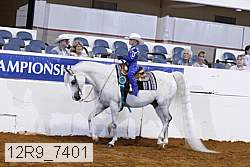 12r9_7401 thumbnail