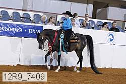 12r9_7409 thumbnail