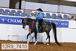 12r9_7410 thumbnail