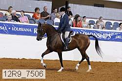 12r9_7506 thumbnail