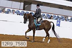 12r9_7580 thumbnail