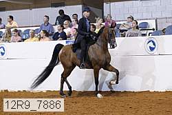 12r9_7886 thumbnail