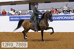 12r9_7889 thumbnail