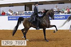 12r9_7891 thumbnail