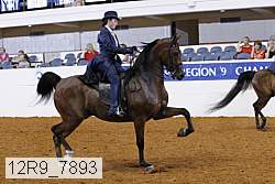 12r9_7893 thumbnail