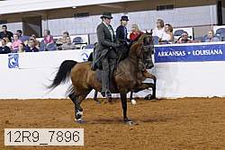 12r9_7896 thumbnail