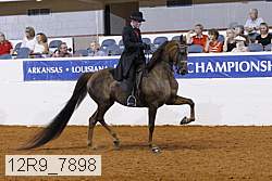 12r9_7898 thumbnail