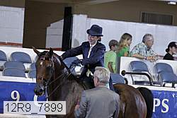 12r9_7899 thumbnail