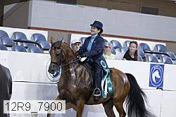 12r9_7900 thumbnail