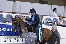 12r9_7901 thumbnail