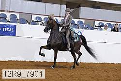 12r9_7904 thumbnail