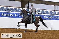 12r9_7905 thumbnail