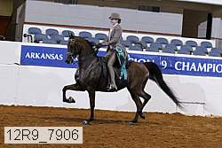 12r9_7906 thumbnail