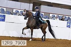 12r9_7909 thumbnail