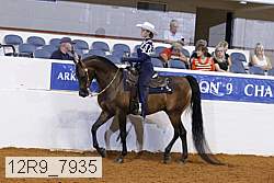 12r9_7935 thumbnail
