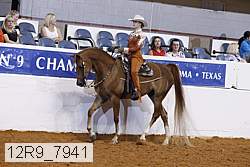 12r9_7941 thumbnail