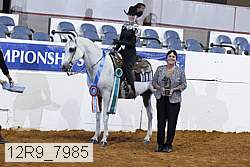 12r9_7985 thumbnail