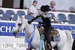 12r9_7986 thumbnail