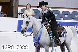 12r9_7988 thumbnail
