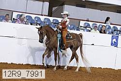 12r9_7991 thumbnail