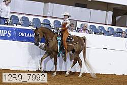 12r9_7992 thumbnail