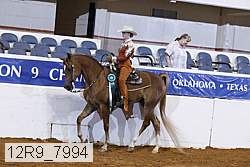 12r9_7994 thumbnail