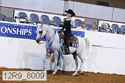 12r9_8009 thumbnail