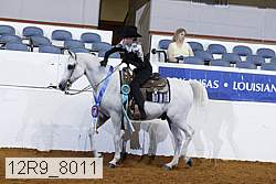 12r9_8011 thumbnail