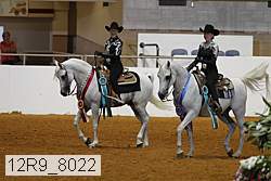 12r9_8022 thumbnail