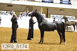12r9_8174 thumbnail
