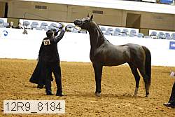 12r9_8184 thumbnail