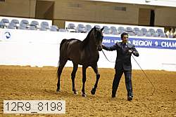 12r9_8198 thumbnail