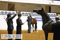 12r9_8201 thumbnail