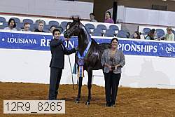 12r9_8265 thumbnail