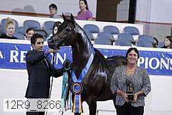 12r9_8266 thumbnail