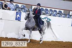 12r9_8327 thumbnail