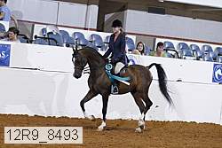 12r9_8493 thumbnail