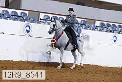 12r9_8541 thumbnail