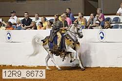 12r9_8673 thumbnail