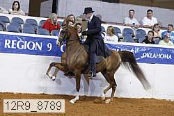 12r9_8789 thumbnail