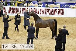 12usn_29674 thumbnail