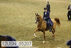 12usn_35207 thumbnail