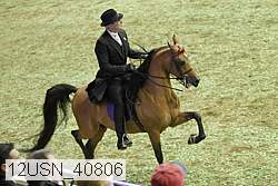 12usn_40806 thumbnail
