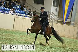 12usn_40811 thumbnail