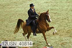 12usn_40814 thumbnail