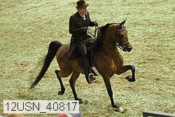 12usn_40817 thumbnail