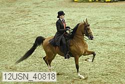 12usn_40818 thumbnail