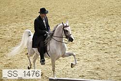 _ss_1476 thumbnail